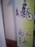 IMG_20190801_113504.jpg
