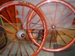 DSC03270.JPG
