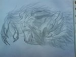 DSC01320.JPG