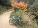 DSC01366.jpg