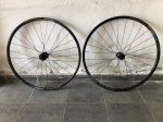 IMG_3270.JPEG