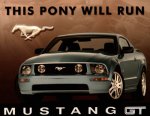 2005-Ford-Mustang-GT.jpg