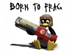 Pinguino-Asesino.jpg