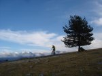DSC07600.JPG