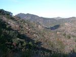 paISAJE.JPG