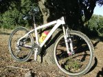 lanza 010.jpg