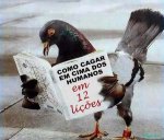 lecciones.jpg