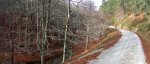 P1020851-52-53 (Large).JPG