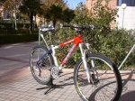 kona dee luxe 001.jpg