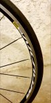 20191003_074644.jpg