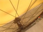 A950E990-D902-4343-B5EA-6C0955778B03.jpeg