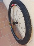 IMG_20191005_160613_347.jpg