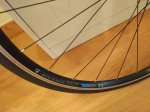 IMG BONTRAGER RACE dos.jpg