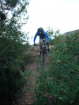 DSCN0871.jpg