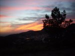 DSCN0877.jpg
