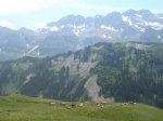 DSCN5424.jpg
