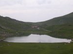 DSCN5437.jpg
