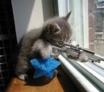 catsnipernk6.jpg