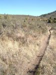 PIC_0092_resize.jpg