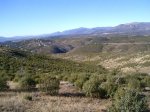 PIC_0093_resize.JPG