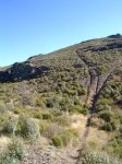 PIC_0095_resize.jpg