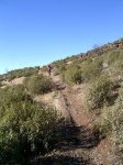PIC_0096_resize.jpg