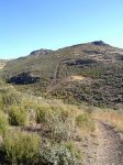 PIC_0097_resize.jpg