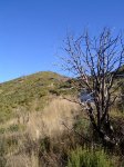 PIC_0099_resize.jpg