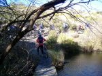 PIC_0101_resize.jpg