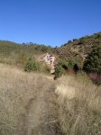 PIC_0104_resize.jpg