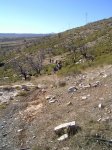 PIC_0106_resize.jpg