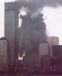 wtc15.jpg
