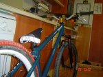 DSC00770.jpg