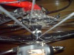 DSC00674.JPG