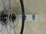 DSC00558.JPG