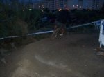 m_100_1119.JPG