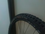 IMG_20191023_185923.jpg