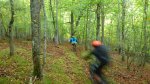 P1120190.JPG
