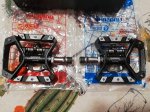 IMG_20191011_075803.jpg