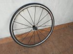 20191008_105539.jpg