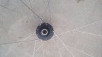 IMG-20190123-WA0041.jpg