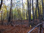 IMG_20191116_110147.jpg