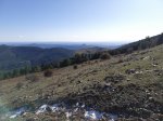 IMG_20191116_114442.jpg