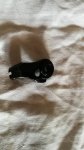 IMG_20191120_124835.jpg
