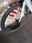 IMG_20191106_164842.jpg