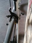 IMG_20191106_164853.jpg