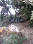 DSCN7342.JPG