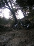 DSCN7343.JPG