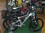 zesty2008 002.jpg