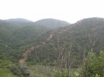 IMG_0070.JPG